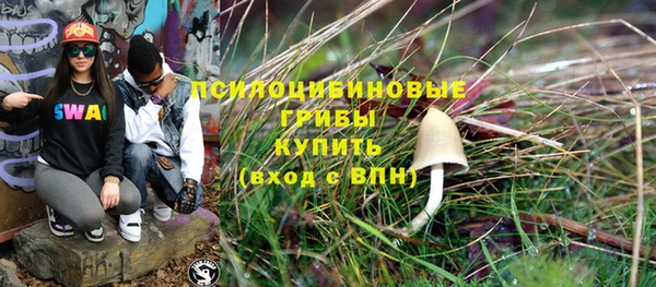 героин Алексин