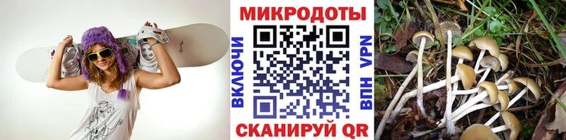 Псилоцибиновые грибы мицелий купить закладку Гусь-Хрустальный