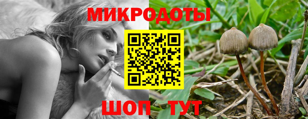 Гусь-Хрустальный  Галлюциногенные грибы мицелий  Вход с VPN 