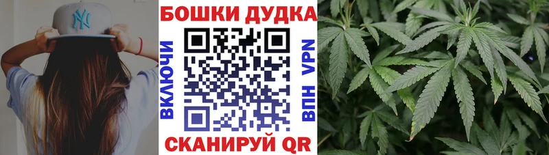 МАРИХУАНА сатива  Гусь-Хрустальный 